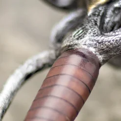 Epic Armoury LARP Schwert Small 100 Cm -Mittelalter Welt larp schwert small 100 cm 5