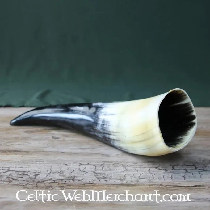 Trinkhorn, Verschiedene Größen 3 Trinkhorn, Verschiedene Größen – Bild 3