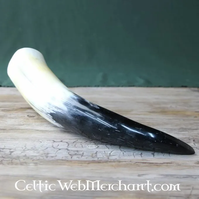 Trinkhorn, Verschiedene Größen 5 Trinkhorn, Verschiedene Größen – Bild 5